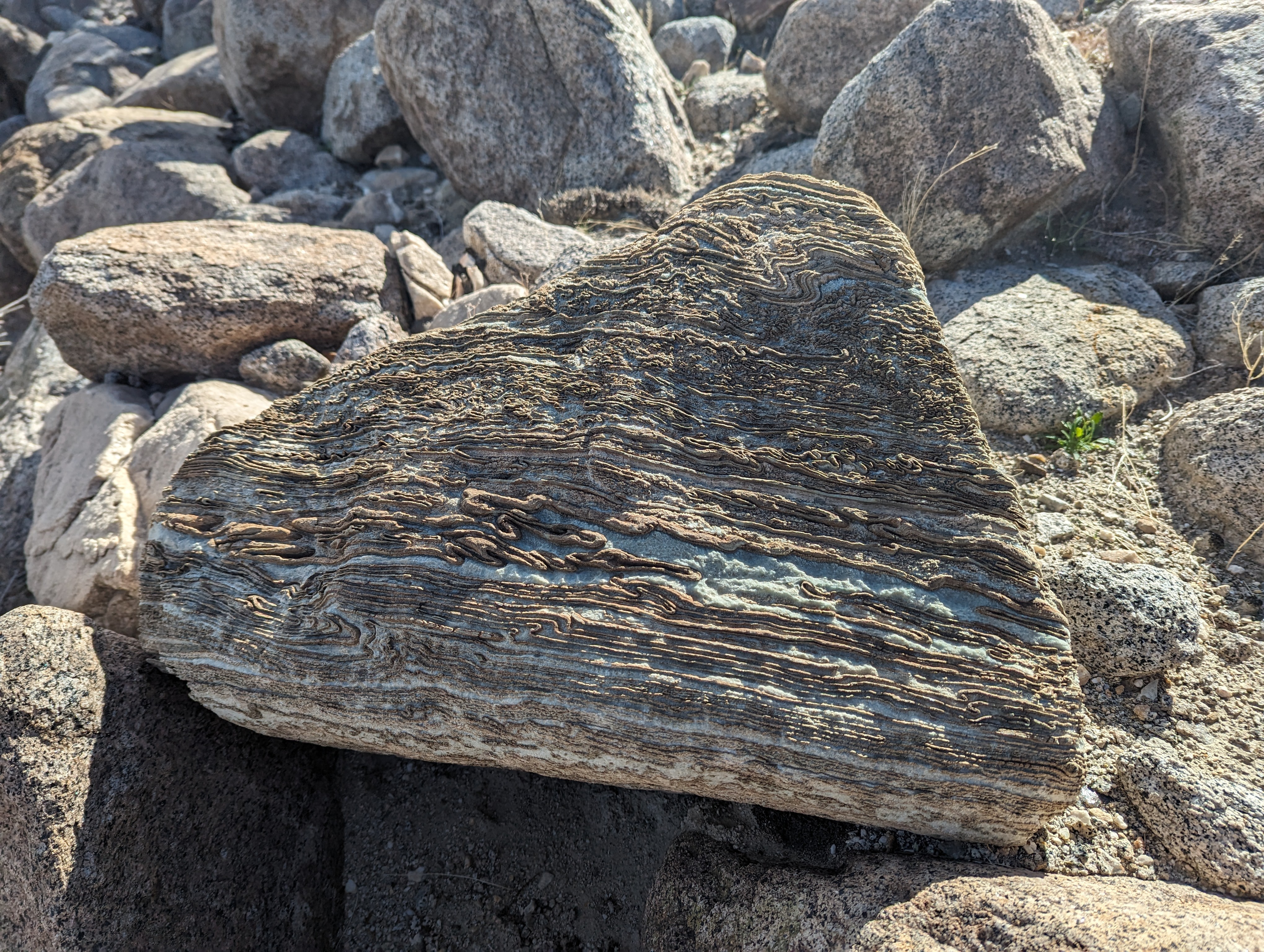 Close detail of layered stone, its surface folded into fine flowing lines